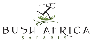 Bush Africa Safaris